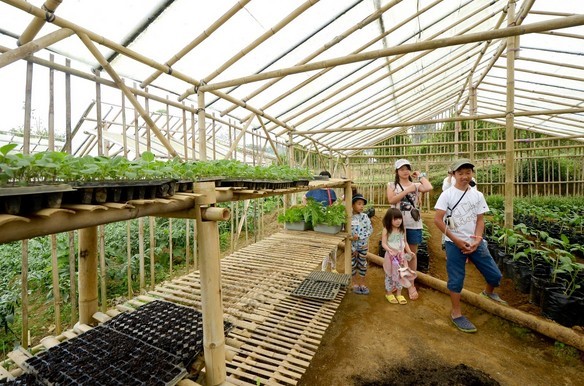 Agrotechno Edupark Ecotourism Solusi Pasti Optimalisasi Multifungsi ...