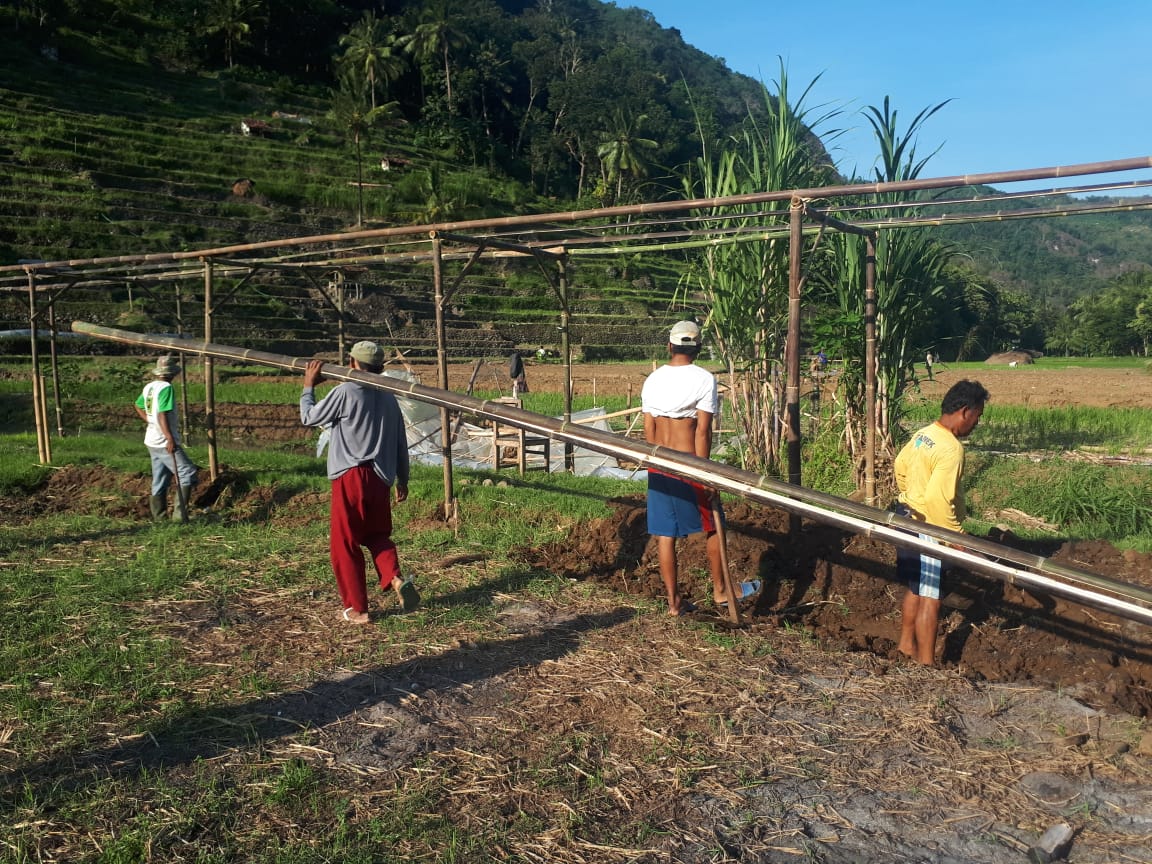 Antusiasme Masyarakat Desa Sriharjo dalam Gotong Royong Persiapan Launching Agrotechno Edupark Ecotourism